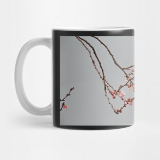 Natural Ikebana Mug